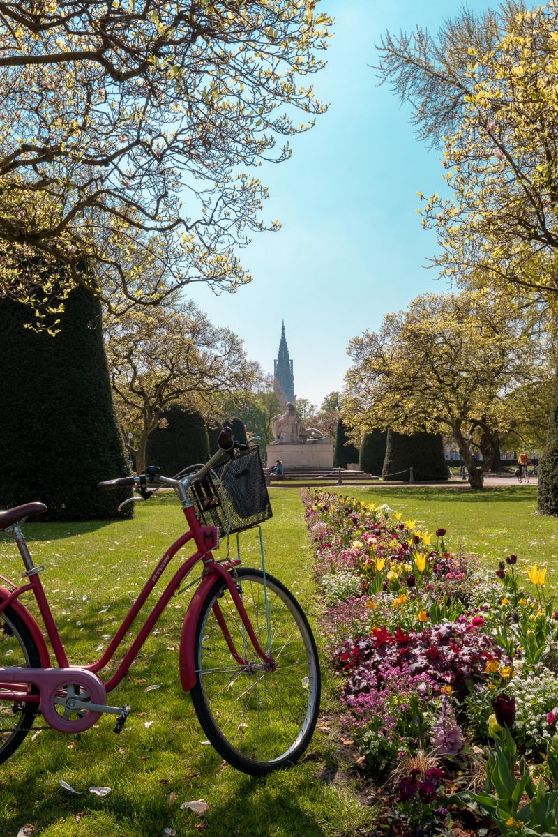 Visiter Strasbourg à vélo 